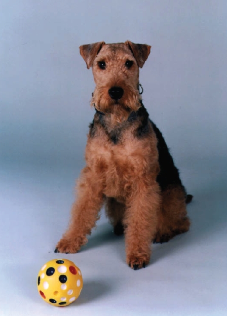 Eiko mit Ball 1999