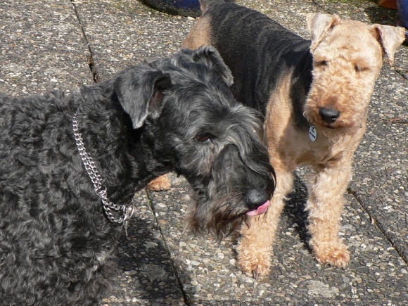 Eiko und Zita