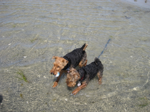 Anny und Alisha in der Ostsee (2)