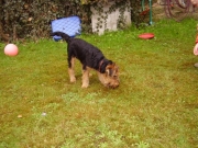 Corin bei und mit Luisa, Jürgen, Katja (6)