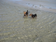 Anny und Alisha in der Ostsee