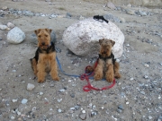 Anny und Alisha am Ostseestrand