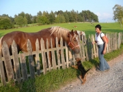 Elvis vom Weidenteich (1)