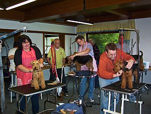 Welsh-Terrier-Treff 2010