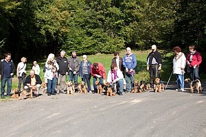 WTT 2011